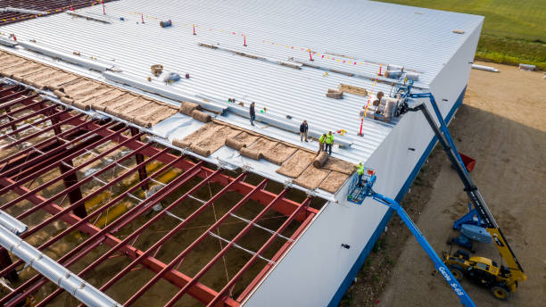 Best Attic Insulation Installation  in Gages Lake, IL